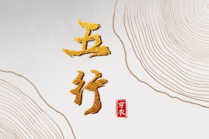 男双胞胎取名|起名社免费起名|名人五行起名|测八字起名字|男孩叶取名字