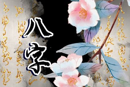 流年运势：动态视角