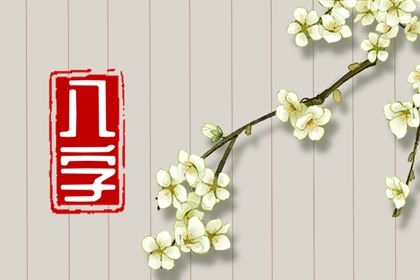 节气与排盘边界