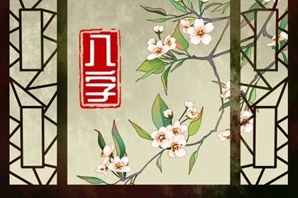 命盘详解内容_星侨命盘_专业细盘命盘_卦命盘