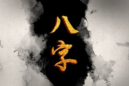 排盘报告阅读顺序