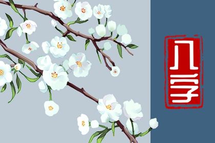 四柱结构:年月日时的分工