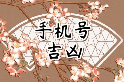 如何读本页结果