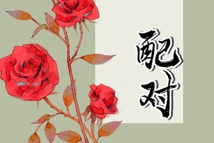 十二生姻缘配对_查姻缘查缘分_测姻缘免费