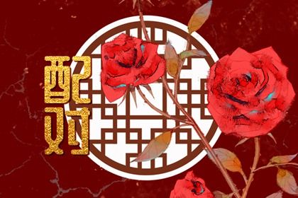 日干情缘与天干五合
