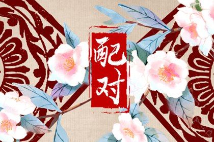 紫薇斗术排盘|紫微流年排盘免费|本命盘查询免费|看八字命盘