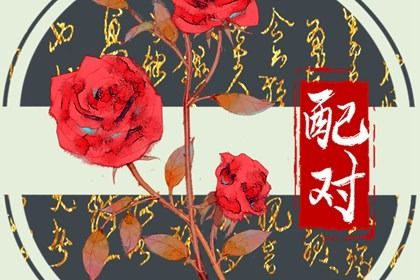 俩人姻缘_缘分测算免费_二人缘分免费_测算姓名配对