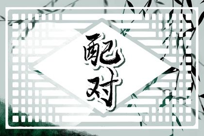 纳音配对:比和、相生与平衡