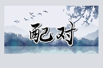 分数不高时的相处策略