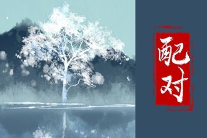 卦命盘,测紫薇命盘详解,查命盘,命盘显示夫妻变动,命盘详细解释