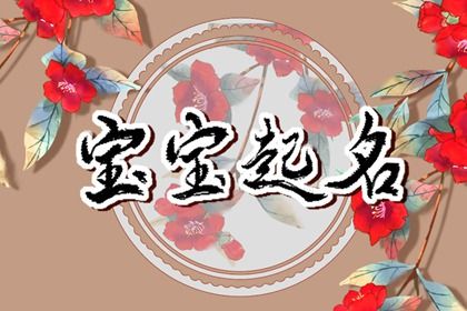 冲克生肖的字一定不能用吗