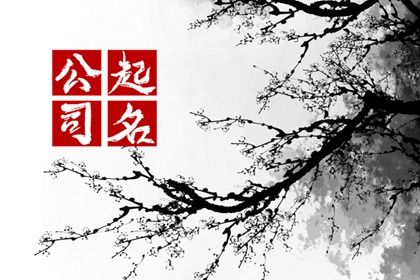紫薇斗术排盘|紫微流年排盘免费|本命盘查询免费|看八字命盘