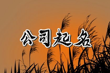 占星命盘查询 活页紫微排盘 连山易命盘解析 详细命盘解析 命盘夫妻宫变动