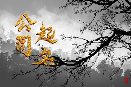 企业名称怎么起
