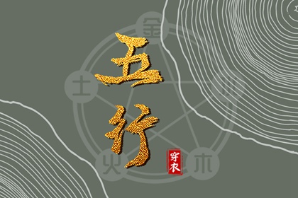 数字化五行参考用法