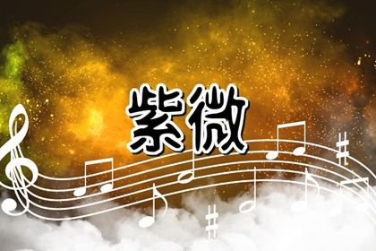 十二宫结构