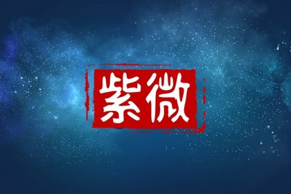 排盘格不是终局