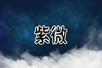 十二宫参考格用法