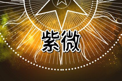数字化紫微参考用法