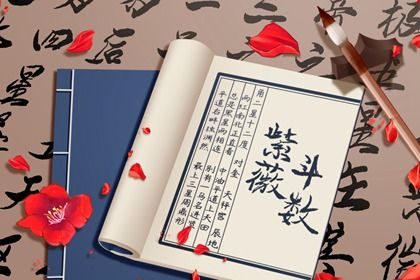 紫微斗数是什么